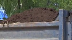 Инспектора ДПС ГИБДД выявили факт незаконной перевозки с последующей реализацией населению почвы-грунта